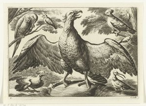 Arend Verschillende vogels (series title) door Peter van Liesebetten