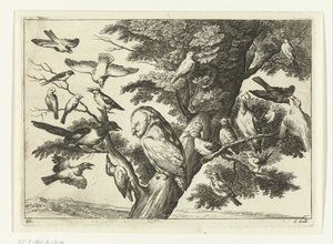 Vogels in een boom