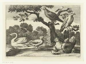 Zwaan, kip met kuikens en andere vogels door Peter van Liesebetten