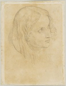 Detailstudie van de schrijver in 