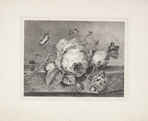 Bloemenstilleven door Petronella van Woensel
