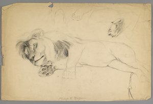 Slapende leeuw door Philip H. Wolfrom