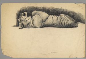 Slapende tijger door Philip H. Wolfrom