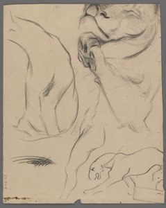 Studies van een leeuw door Philip H. Wolfrom