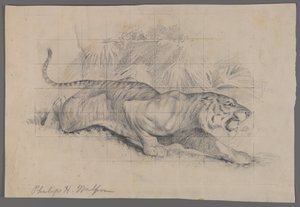 Tijger in landschap door Philip H. Wolfrom