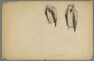 Gieren door Philip H. Wolfrom
