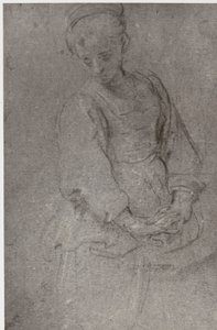 Domenichino, Sorrow