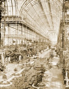 Het interieur van het schip genomen vanuit de galerij boven het Koninginnen Scherm aan de zuidkant c.1859 door Philip Henry Delamotte