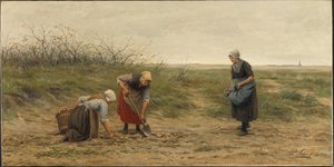 Scheveningse vrouwen bij het nalezen van een gerooid aardappelveld door Philip Sadée