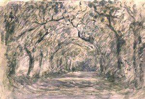 Eikenlaan, Knaresborough