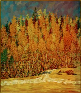 Herfstbos door Philipp Bauknecht