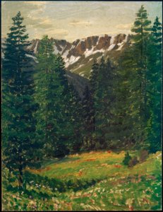 Boslandschap, (landschap)