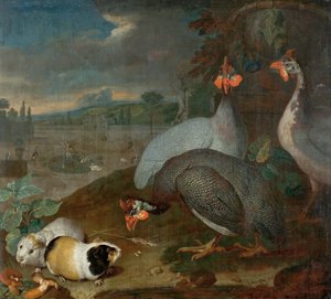 Parelhoenders met cavia door Philipp Ferdinand de Hamilton