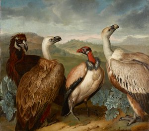 Vier gieren van verschillende soorten door Philipp Ferdinand de Hamilton