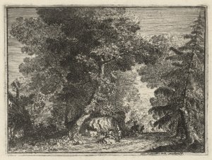 Een Weg door het Bos