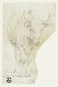 Koe