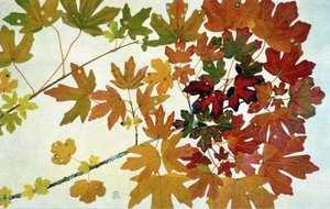 Herfstbladeren, door Philippe Robert, edities Robert Ried