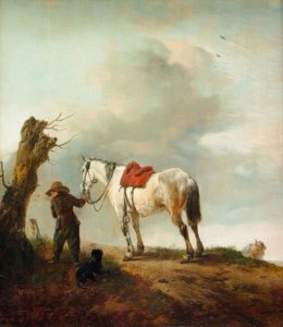 De schimmel