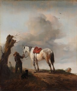 Het witte paard