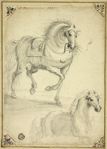 Twee schetsen van dravend paard
