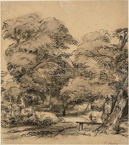 Een pad in het bos