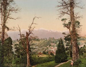 Darjeeling. Kinchinjunga en de Sneeuws van Beechwood Park door Photoglob Co. (Zurich, active c. 1890 1910)