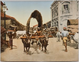 India. Ceylon. Colombo. Straatscène, naar foto van Dr. Kurt Boeck door Photoglob Co. (Zurich, active c. 1890 1910)