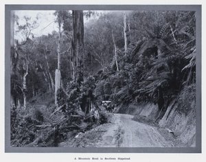 Een bergweg in Zuid-Gippsland door Photographer Australian