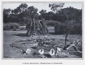 Een inheemse begraafplaats, huilende kappen op de voorgrond door Photographer Australian