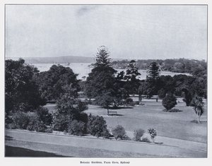 Botanische tuinen, Farm Cove, Sydney door Photographer Australian