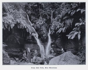Fairy Dell Watervallen, Blue Mountains door Photographer Australian