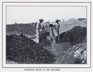 Verzamelen van guano bij de Abrolhos