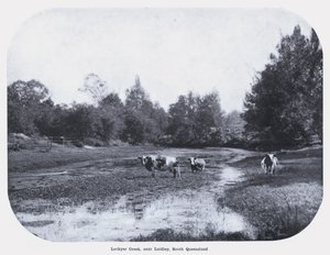 Lockyer Creek, nabij Laidley, Zuid-Queensland door Photographer Australian
