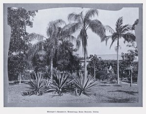 Woning van de manager, Kamerunga State Nursery, Cairns