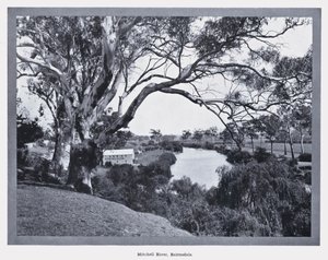 Mitchell River, Bairnsdale