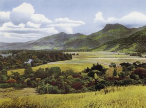 Queensland, Australië: Suikerlanden bij Mossman door Photographer Australian