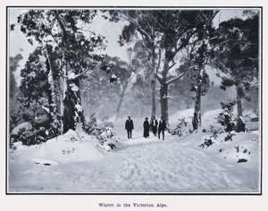 Winter in de Victoriaanse Alpen door Photographer Australian