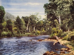 Yarra Rivier