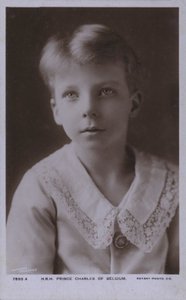 Prins Karel van België, Graaf van Vlaanderen (zw/w foto)