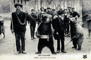 Berenexposities in de Pyreneeën, ca 1900 (z/w foto) door Photographer French