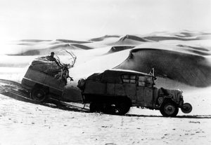 Gobi-woestijn, De Gele Expeditie