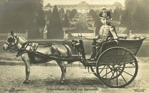 Kroonprins Willhelm, Sanssouci Paleis, Potsdam