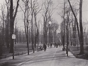 In de Tiergarten, Ahornsteig (zw/w foto)