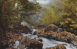 Ierland: In De Dargle, County Wicklow