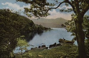 Zuid-Ierland: Bij Innisfallen, Killarney door Photographer Irish