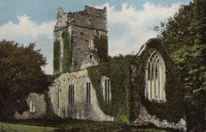 Zuid-Ierland: Muckross Abbey, Killarney (gekleurde foto) door Photographer Irish