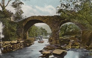Zuid-Ierland: De Oude Weir Brug (de stroomversnellingen), Killarney door Photographer Irish