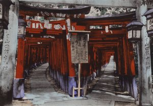 Japan, ca. 1912: Torii Laan, Heiligdom van Fushimi nabij Kyoto
