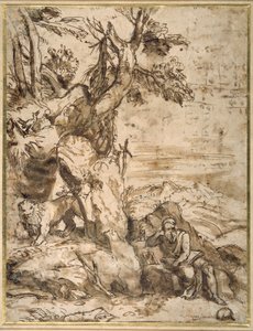 St. Hiëronymus lezend in de wildernis, naar Titiaan door Pier Francesco Mola