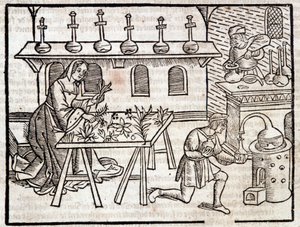 Geneeskunde door planten en hun deugden - in Des profits champêtres et ruraux door Pierre de Crescent, Parijs door Piero da Crescentino